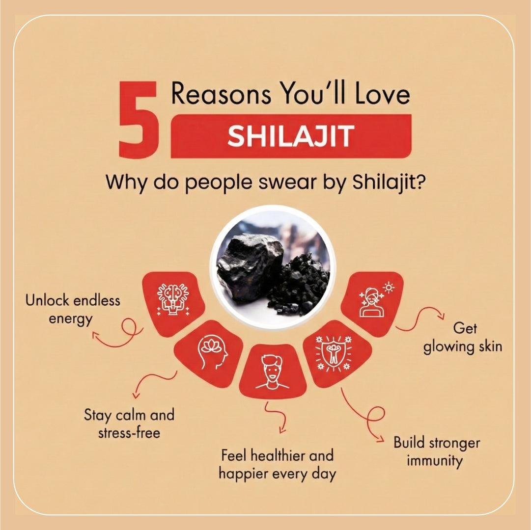 Pure Himalayan Shilajit Resin | Natural Strength & Vitality – Dr. Bhangu Ayurveda